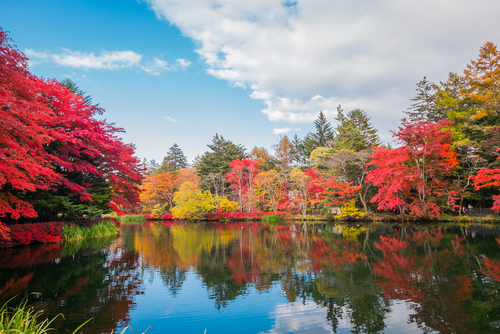 Kumoba Pond (autumn foliage)