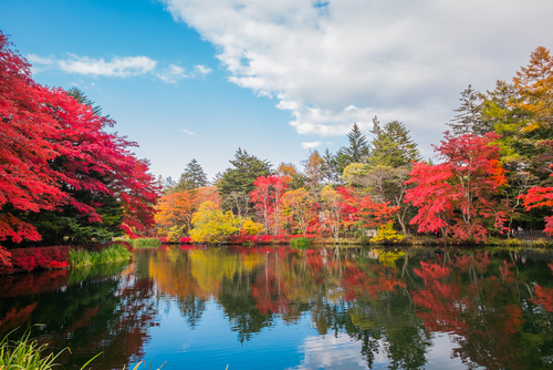 雲場池（紅葉）