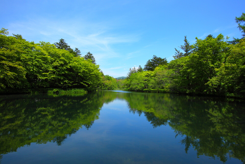 Kumoba Pond (fresh greenery)