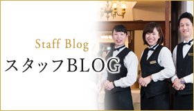 スタッフBLOG