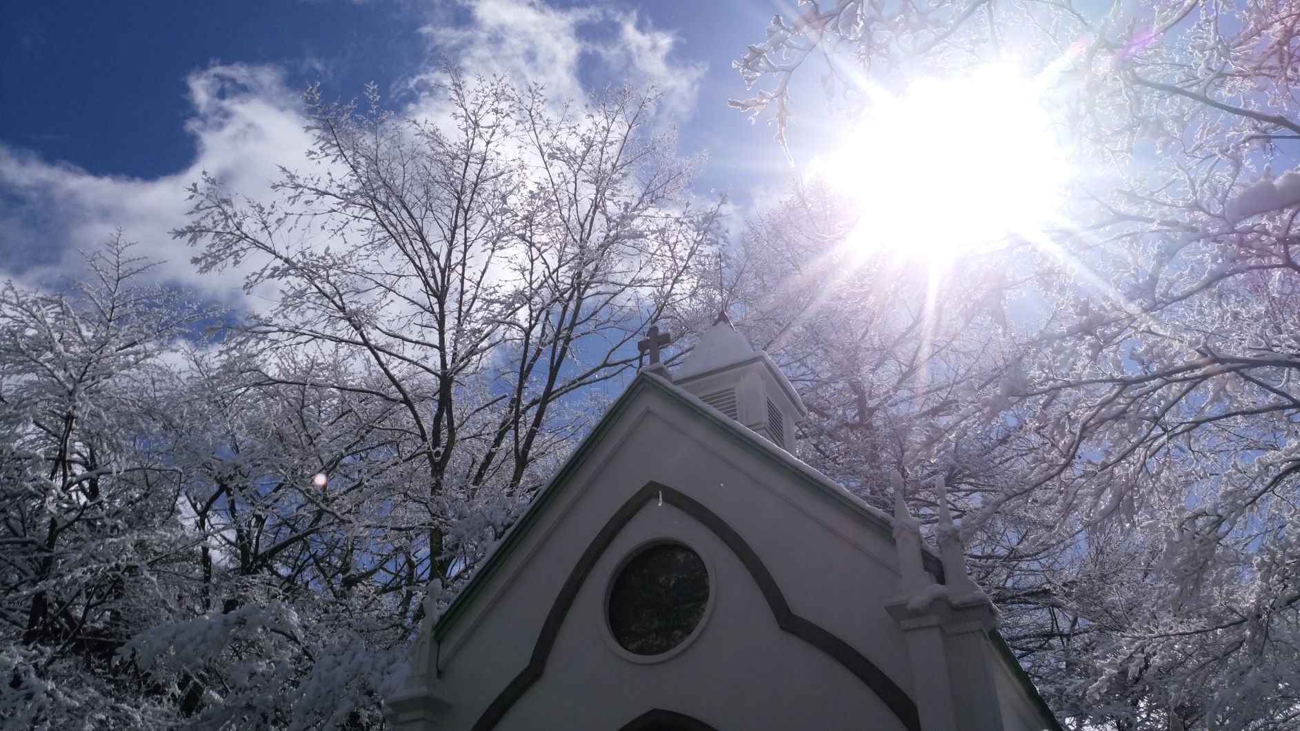 🌸もうすぐ春ですが… ⛄