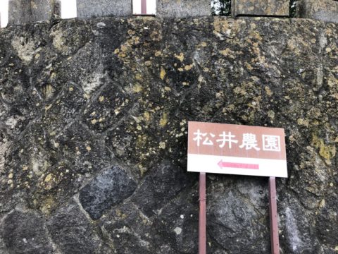 長野県の観光スポットをご紹介 Part2 公式 旧軽井沢 ホテル音羽ノ森 軽井沢ウエディング 結婚式なら 長野県の観光スポットをご紹介 Part2 公式 旧軽井沢 ホテル音羽ノ森 軽井沢ウエディング 結婚式なら
