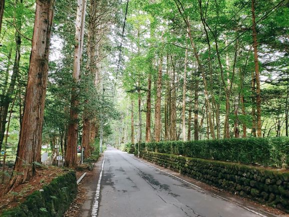 自転車で巡る旧軽井沢🚲