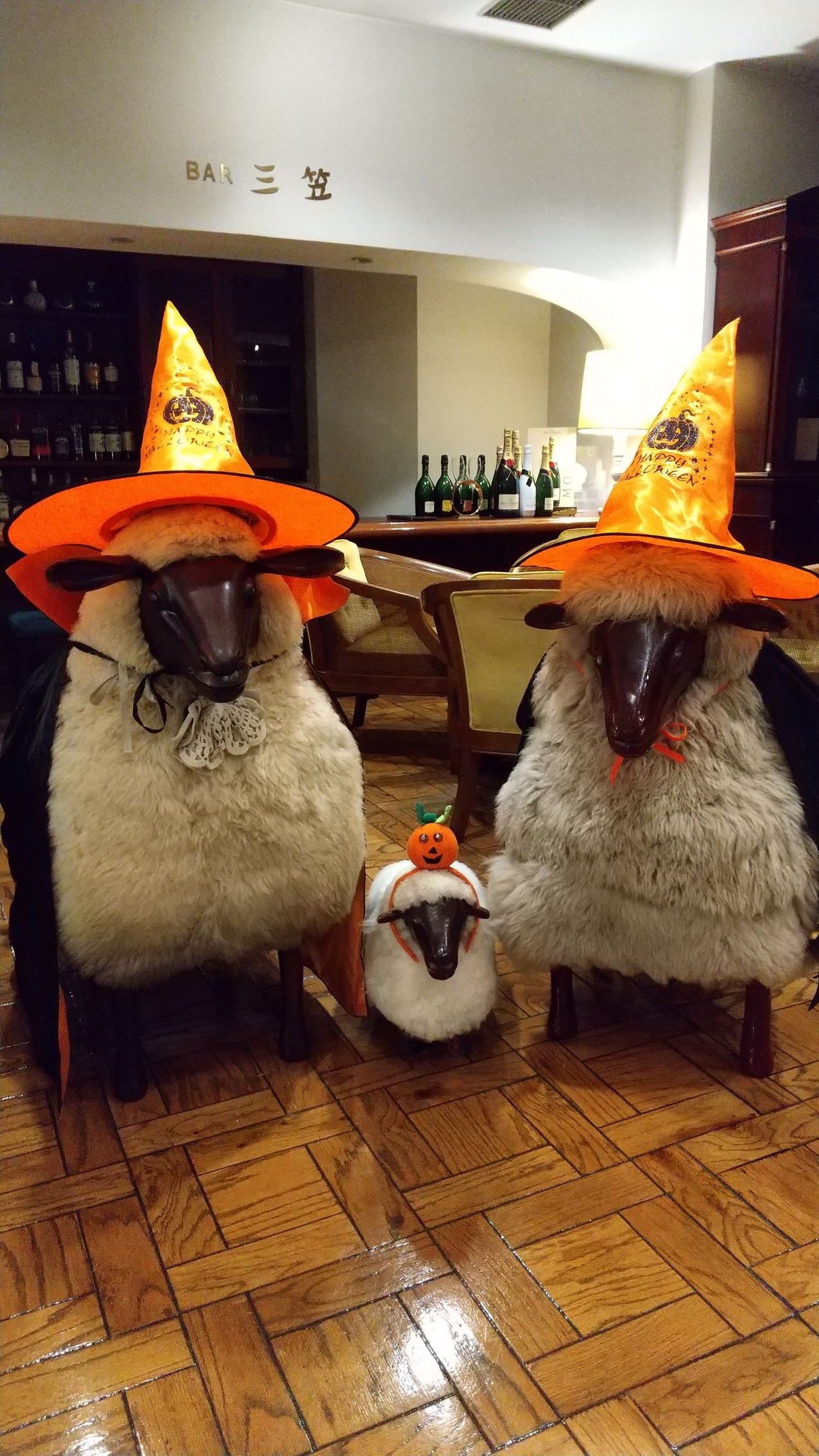 ハロウィンイベント始まります !!