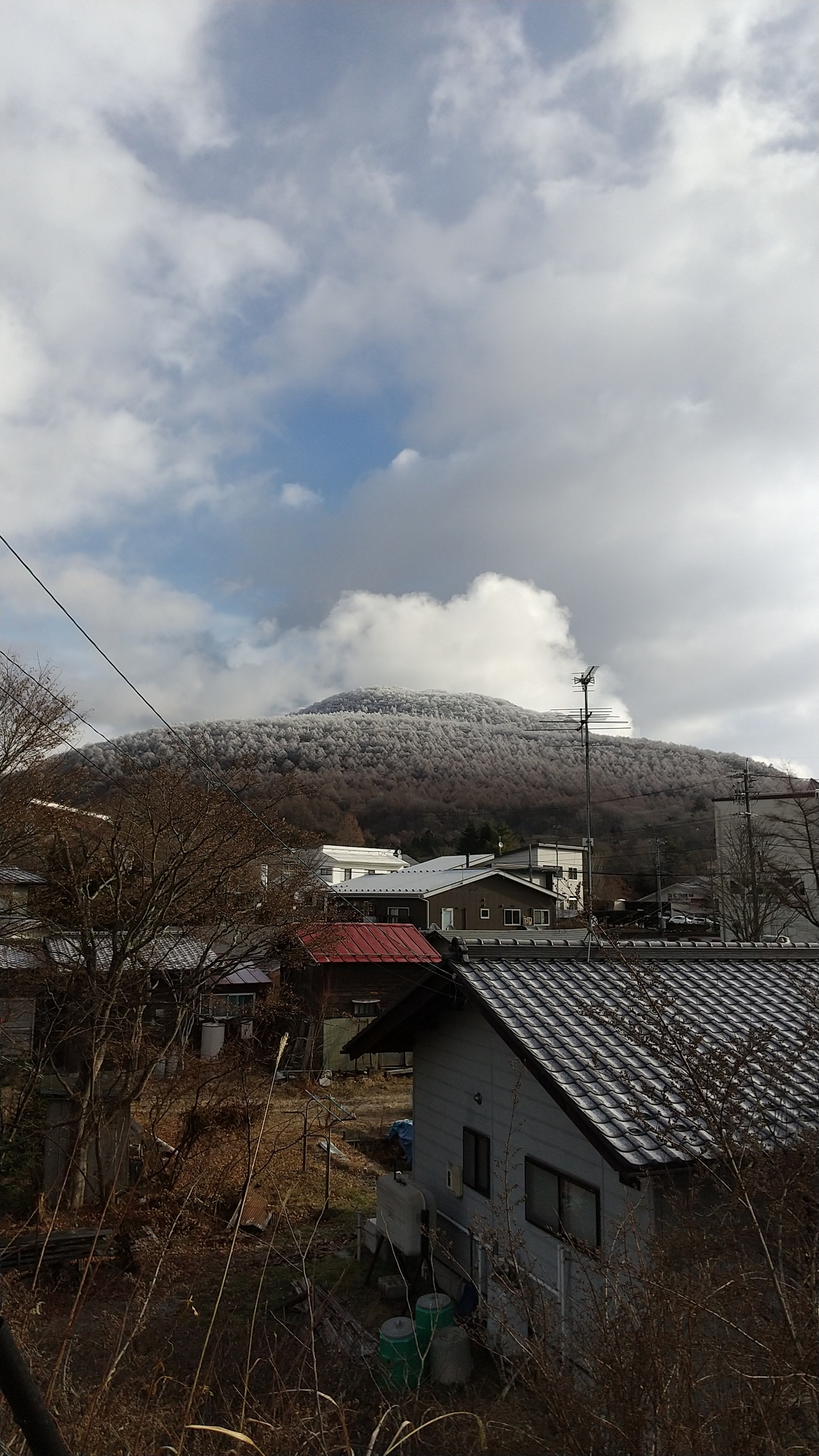 冬本番⛄