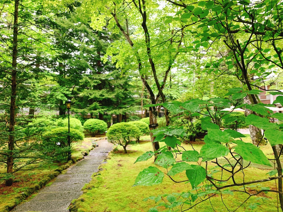 今年も開催します！てるてる坊主キャンペーン！