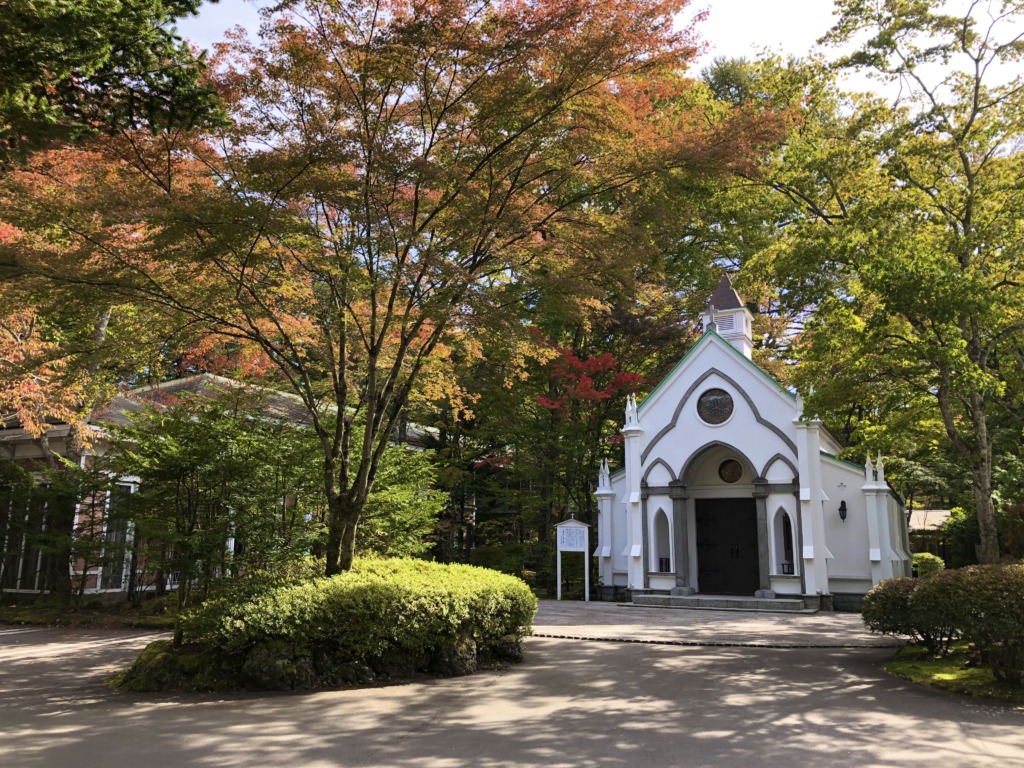 本日の紅葉