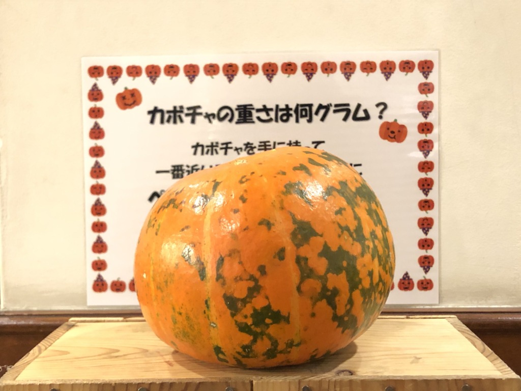 【ハロウィンイベント正解発表】かぼちゃの重さは何グラム？