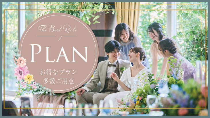 スペシャルプラン